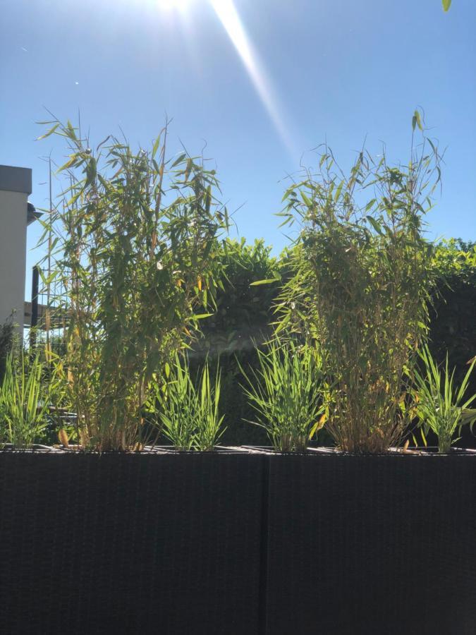 Apartment Oase- קייזרסלאוטרן מראה חיצוני תמונה